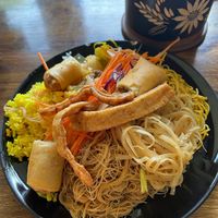   at Elephant Nature Park in Chiang Mai