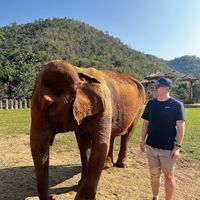   at Elephant Nature Park in Chiang Mai