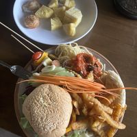 Dinner  at Elephant Nature Park in Chiang Mai