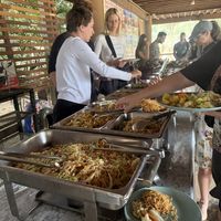   at Elephant Nature Park in Chiang Mai