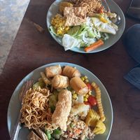   at Elephant Nature Park in Chiang Mai