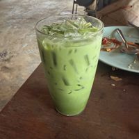   at Elephant Nature Park in Chiang Mai