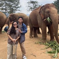   at Elephant Nature Park in Chiang Mai