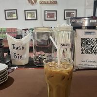   at Elephant Nature Park in Chiang Mai