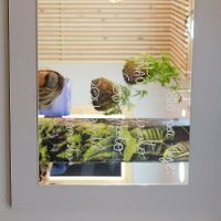 Decoration detail. at Z Vegan Hair Concept in Lisbon