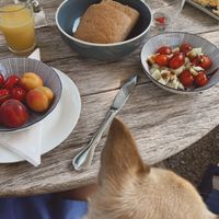   at Cafe Moller in Unna