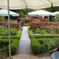 Der tolle Garten  at Cafe Moller in Unna