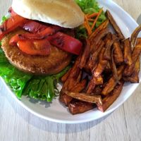 Chicken sandwich at Seed Shack in Gilbert