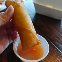 $4.49 Spring Rolls (4pcs fried): sauce was a bit different but good at Jeff's Vegan in Frisco