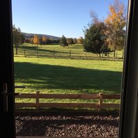 Neighbourly sheep to spot at Whitemoss Lodge B&B in Dunning