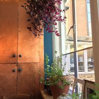 Very Nice design at The Handle Bar in Oxford