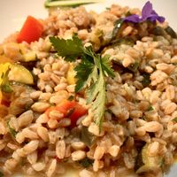   at Pata Chic in Venice