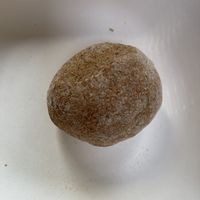 Panini   at Tibits in Winterthur