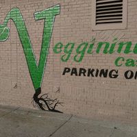 Side parking on Nottingham at Pop Culture Vegan Cafe in Detroit