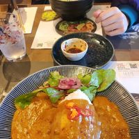 Vegan katsu and veganjaury special dish at Wagamama in Plymouth