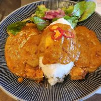Vegan kastu spicy at Wagamama in Plymouth