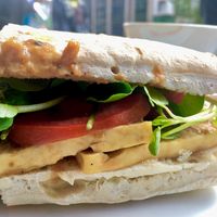 Grilled tofu sandwich at Canamo Coffee in Santiago