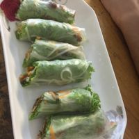 Pesto/tempeh springrolls  at Lovegan in Binh Thuan