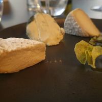 Cheese at Like An Elephant in Lyon