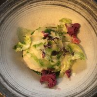   at Like An Elephant in Lyon