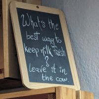 🐮💜 at Like An Elephant in Lyon