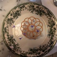  at Like An Elephant in Lyon