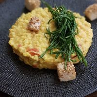 Risotto at Like An Elephant in Lyon