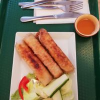 Rollitos de primavera/spring rolls at Vegan Life in Prague