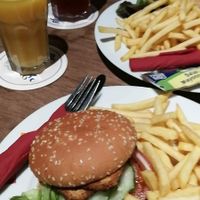 Tofu Burger (a little less than 6€) with A LOT of fries at Cafe Vienna in Mannheim