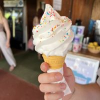  #Veganuary at Vegan Goods Market in Cape Town