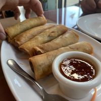 Spring rolls  at Thai House in Yakima