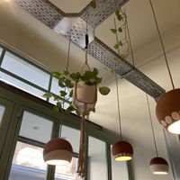 :) at Peas in Athens