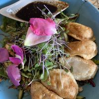 Ginger dumplings  at Nature Cafe/Bar in Frankston