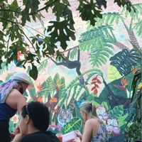 Courtyard  at Nature Cafe/Bar in Frankston
