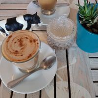 Foreground: Magick Reishi
Background: Magick Coffee at Nature Cafe/Bar in Frankston