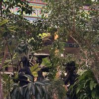 Any restaurant with plants is lovely. 🥰  #Veganuary at Boulder Dushanbe Teahouse in Boulder