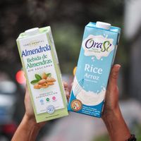 Leches vegetales at Leboletó Café in Santiago