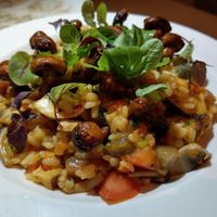 西班牙紅花虎茸菌燉飯 at Mirror and Vegan Concept in Hong Kong Island