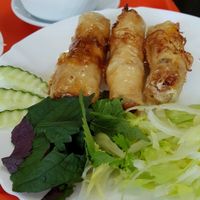 spring rolls at Bang Tofu in Bratislava