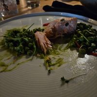 *After eaten* Gluten and dairy free salmon at The Five Fishermen in Halifax