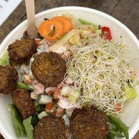Falafel bowl  at Fruibies in Kuranda