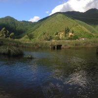 Set it the wetlands  at Te Paranui Permaculture Homestead in Tuamarina