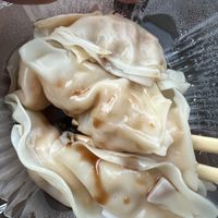Kimchi dumplings  at Noodles in Northampton