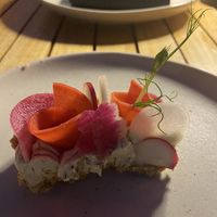 Half of the radish tartlet  at Plant Miami in Miami