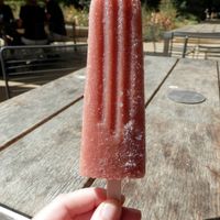 Strawberry and banana vegan ice lolly at The Garden Cafe  in Cambridge