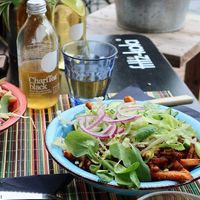 Vegan Kapsalon at Dr.Plant in Leeuwarden