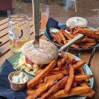  at Dr.Plant in Leeuwarden