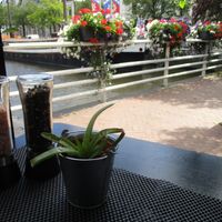  at Dr.Plant in Leeuwarden