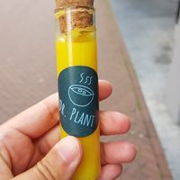 Gembershot at Dr.Plant in Leeuwarden