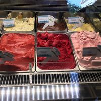 Vegan flavours with blue signs at Gelarto Rosa - Szent István in Budapest